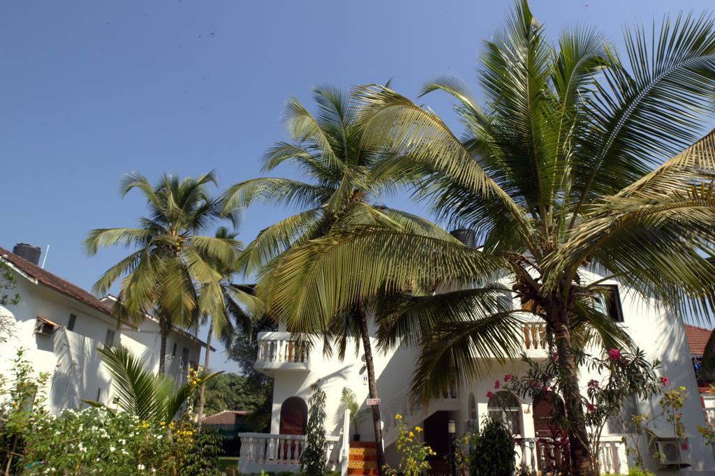 Colonia Santa Maria Hotel Baga Kültér fotó